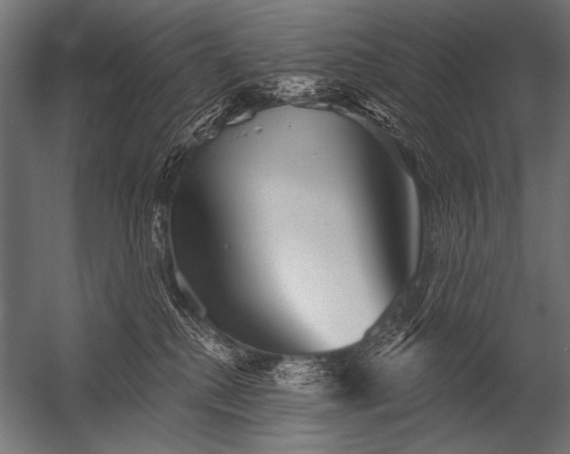 X0000052960280200507300119