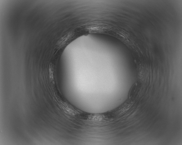 X0000052960282200507300119