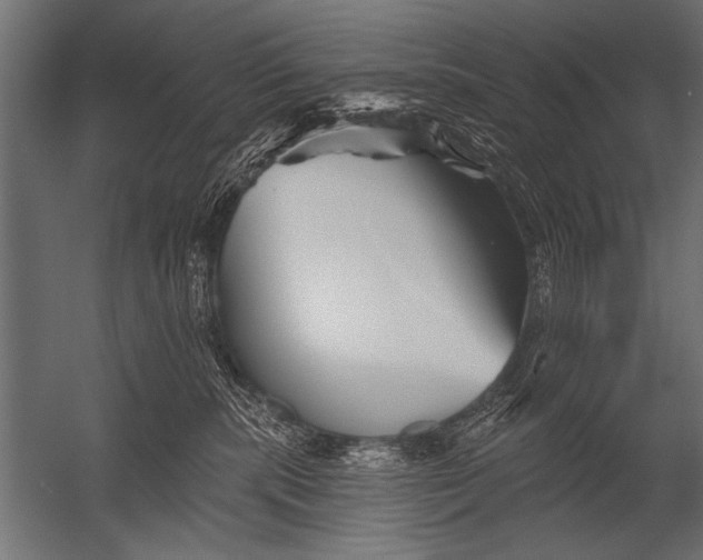 X0000052960283200507300119