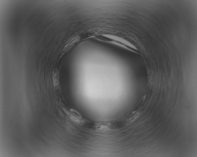 X0000052960285200507300119