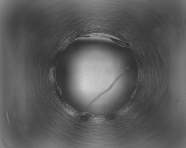 X0000052960286200507300119