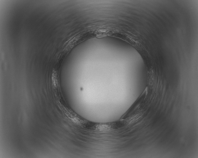 X0000052960287200507300119