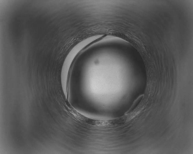 X0000052960288200507300119