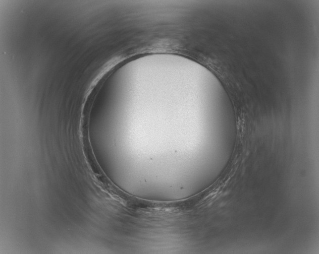 X0000052960292200507300118