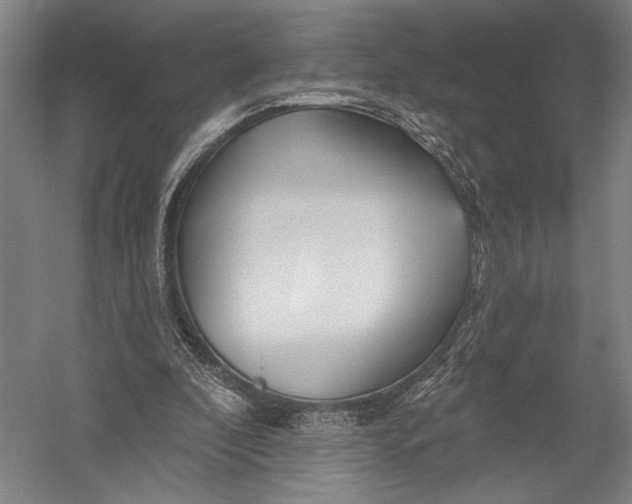 X0000052960296200507300118