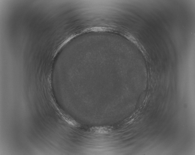 X0000052960297200507300118