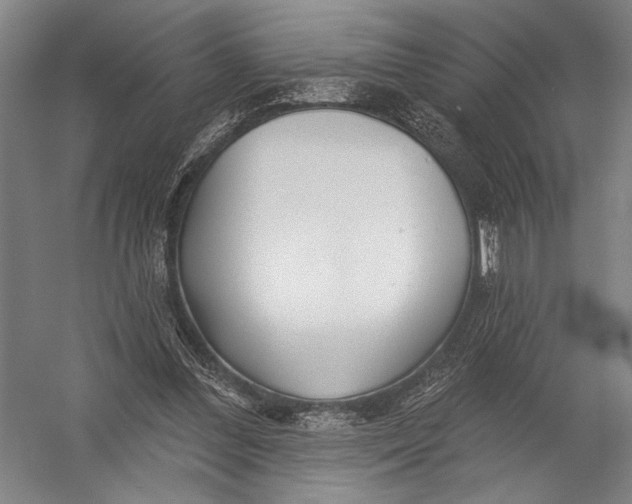 X0000052960300200507300118