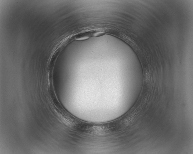 X0000052960302200507300118