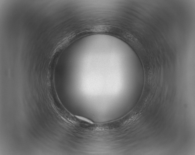 X0000052960303200507300118