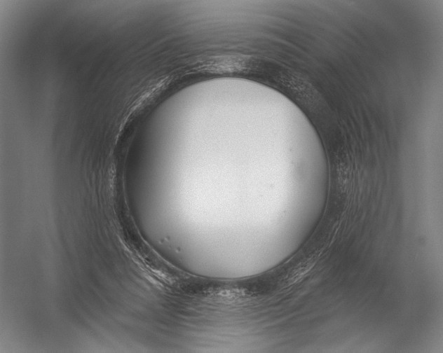 X0000052960304200507300118