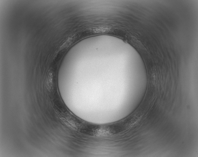 X0000052960308200507300118