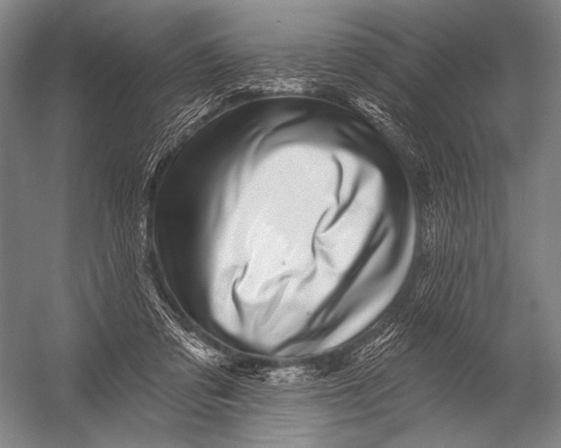 X0000052960309200507300118