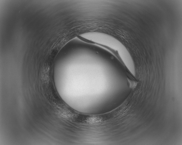 X0000052960319200507300118