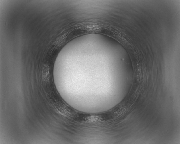 X0000052960320200507300118
