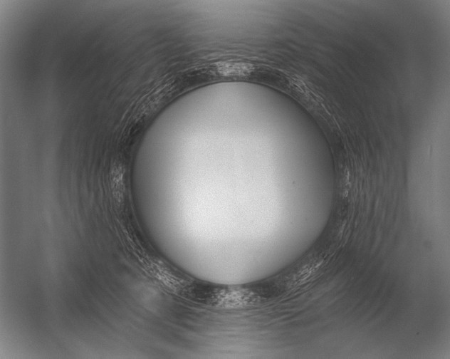X0000052960321200507300118