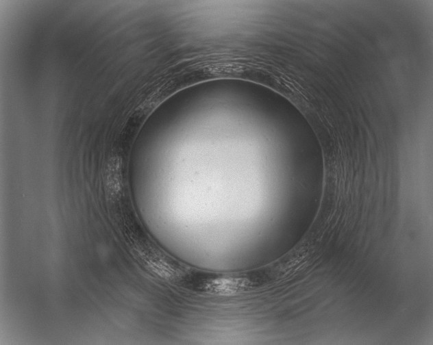 X0000052960323200507300118