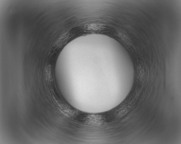 X0000052960328200507300118