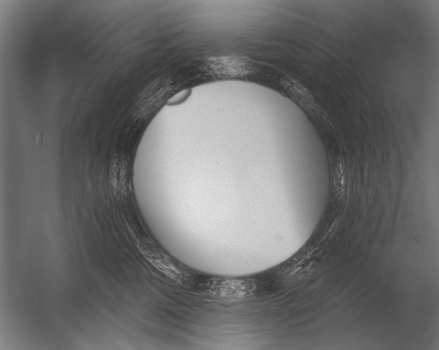 X0000052960330200507300118