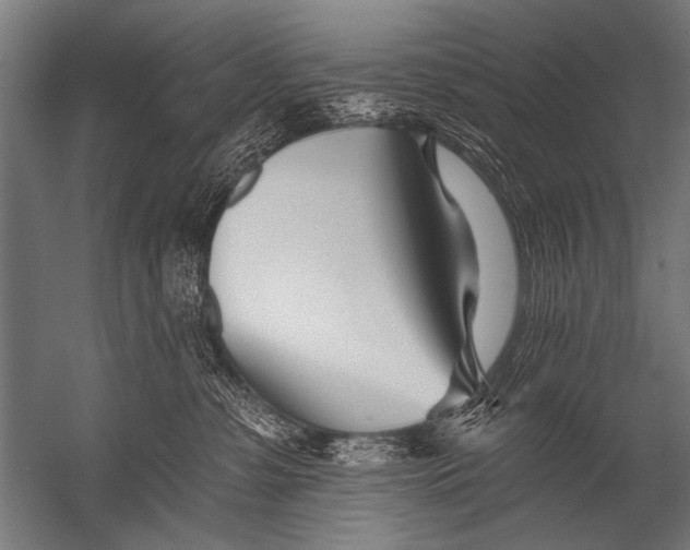 X0000052960331200507300118