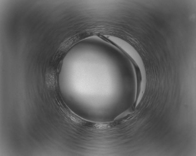 X0000052960333200507300118