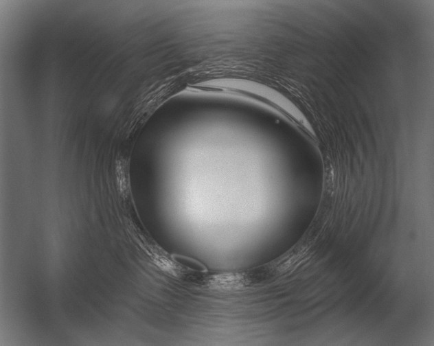 X0000052960335200507300118