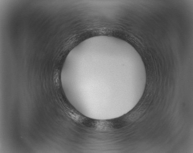 X0000052960336200507300118