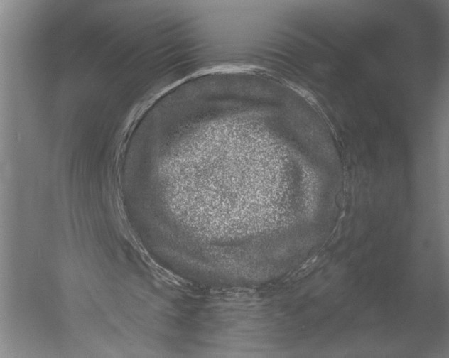 X0000052960337200507300117