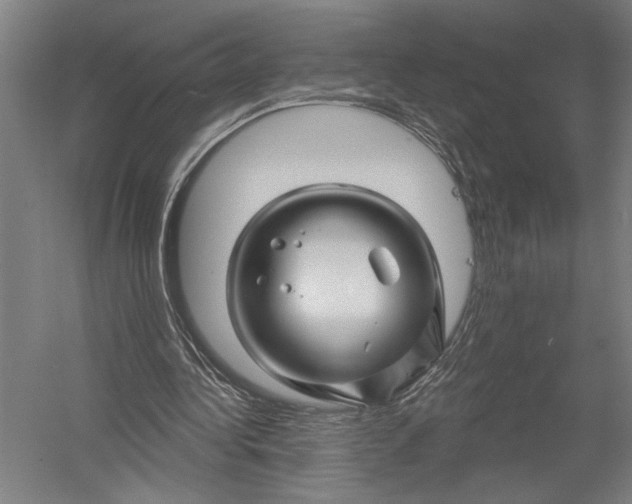 X0000052960340200507300117