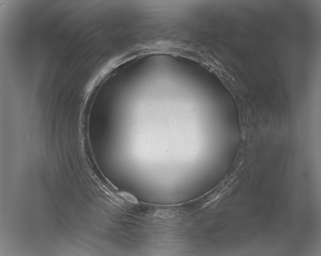 X0000052960341200507300117