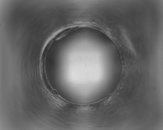 X0000052960342200507300117