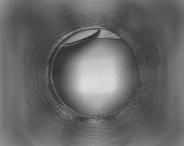 X0000052960346200507300117