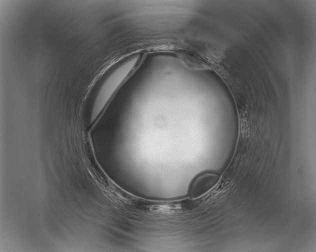 X0000052960347200507300117
