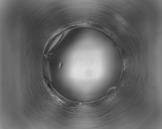X0000052960349200507300117