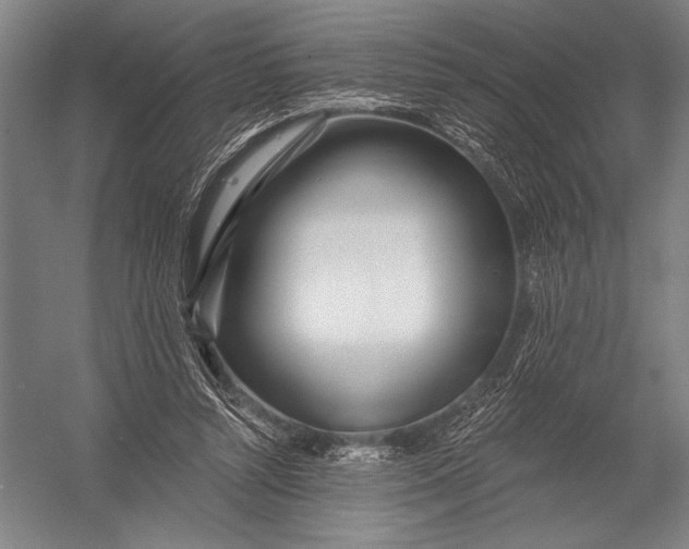 X0000052960352200507300117