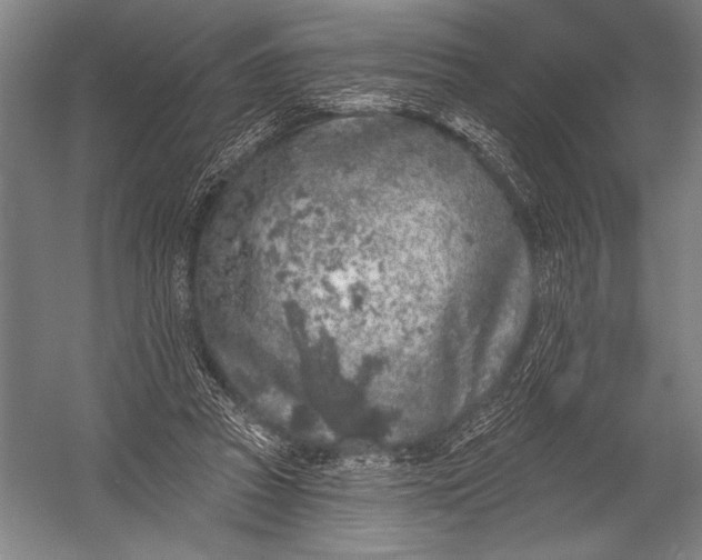 X0000052960353200507300117