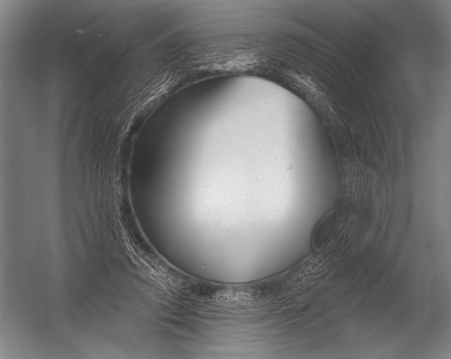 X0000052960354200507300117