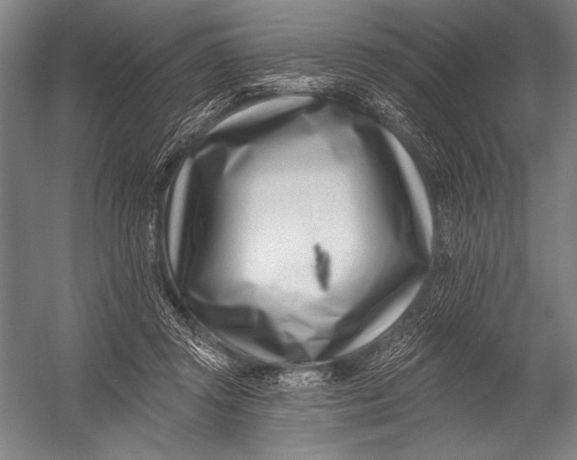 X0000052960357200507300117