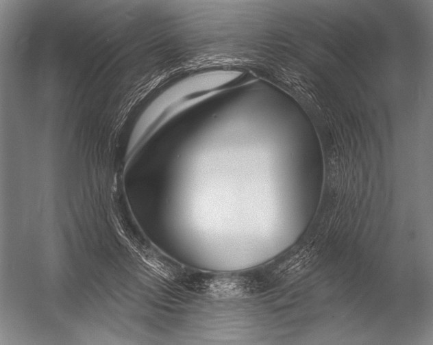 X0000052960358200507300117