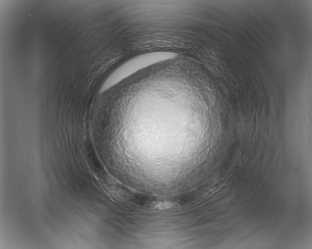X0000052960360200507300117
