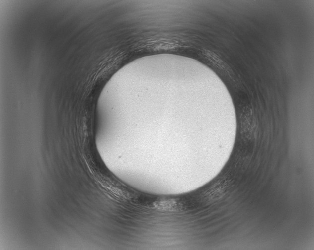 X0000052960362200507300117