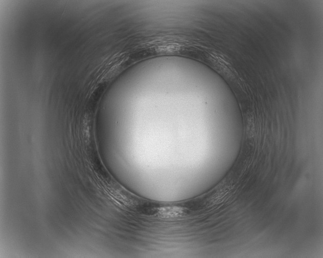 X0000052960363200507300117