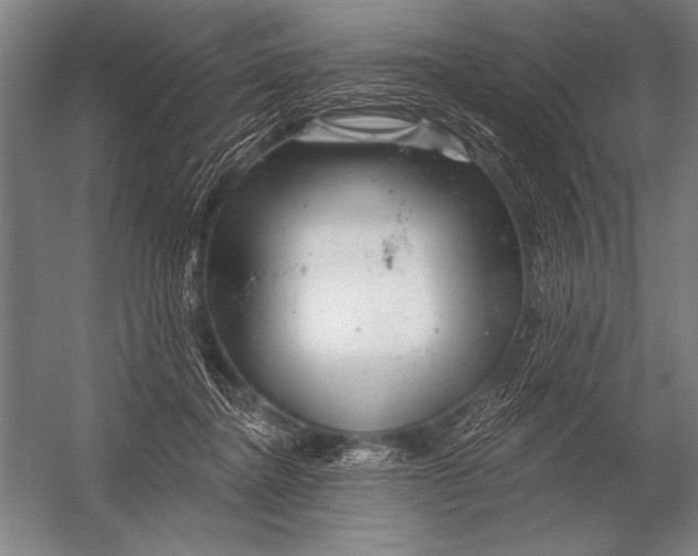 X0000052960364200507300117