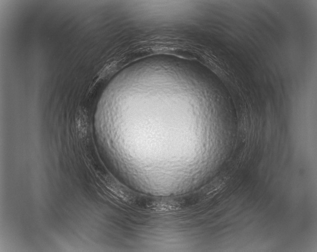 X0000052960367200507300117