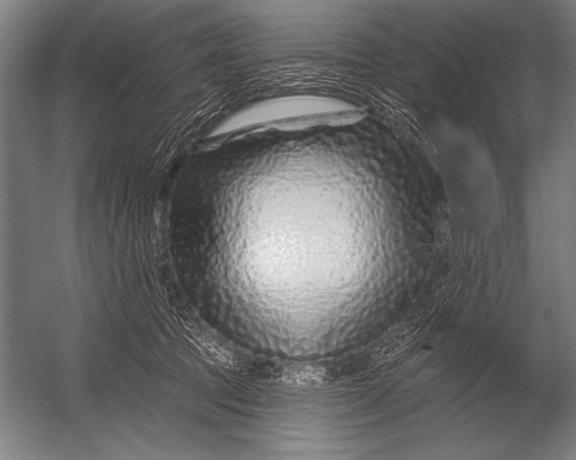 X0000052960369200507300117