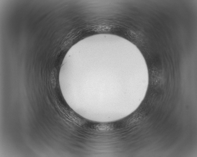 X0000052960370200507300117