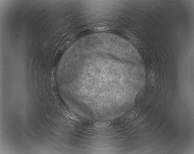 X0000052960373200507300117