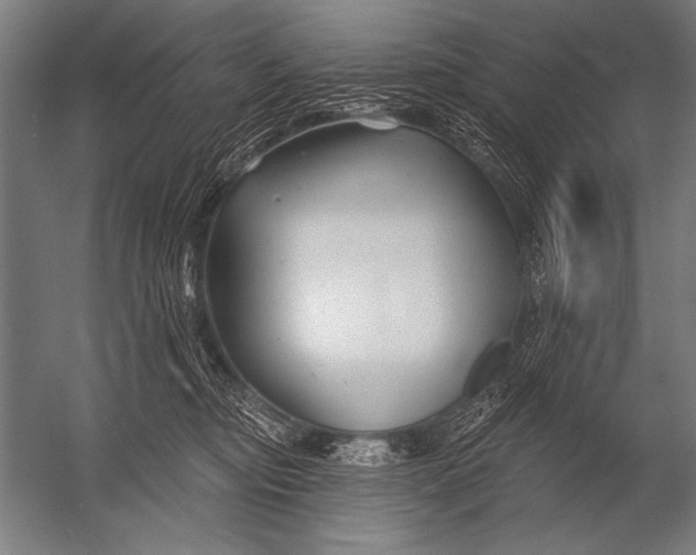 X0000052960374200507300117