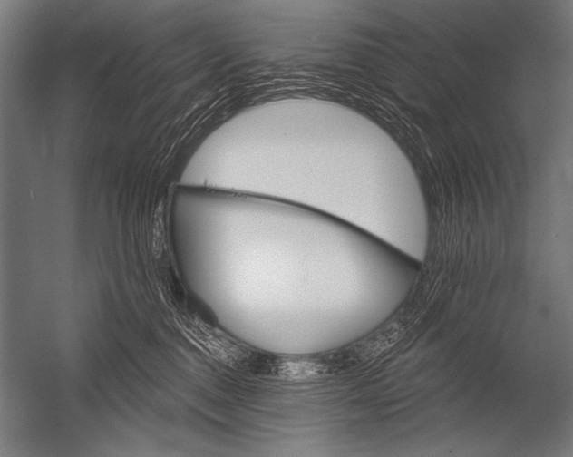 X0000052960376200507300117