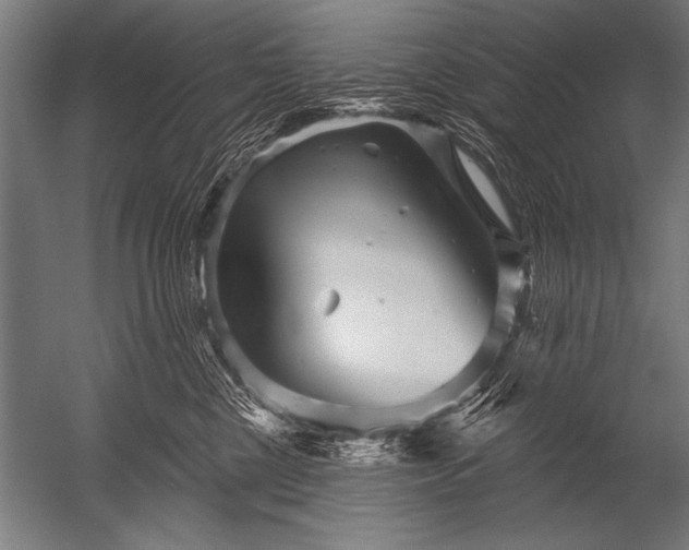 X0000052960377200507300117