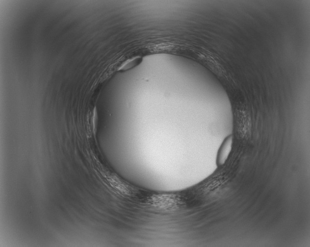 X0000052960378200507300117